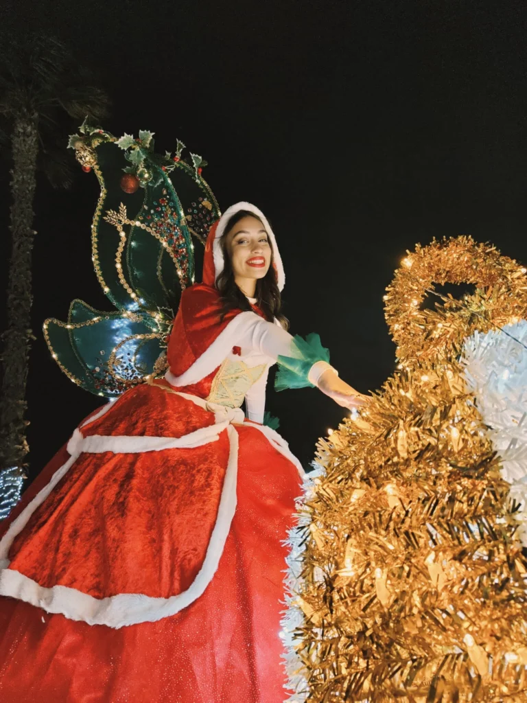artisti_per_spettacoli_di_natale_12