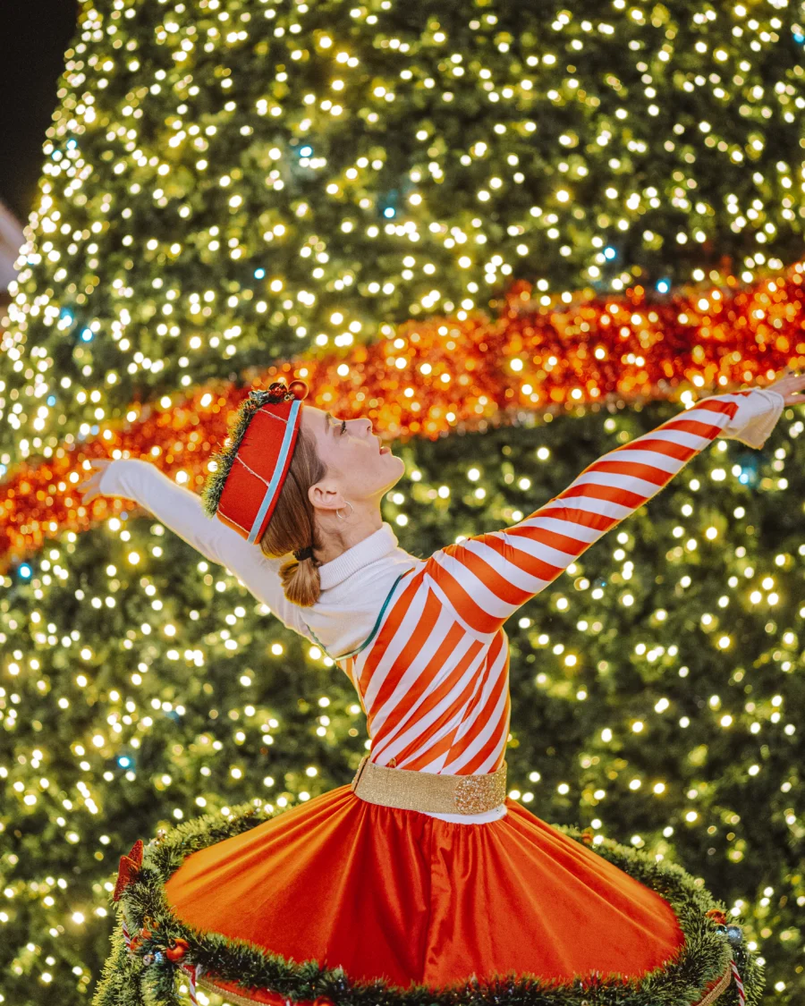 Christmas Show Performers