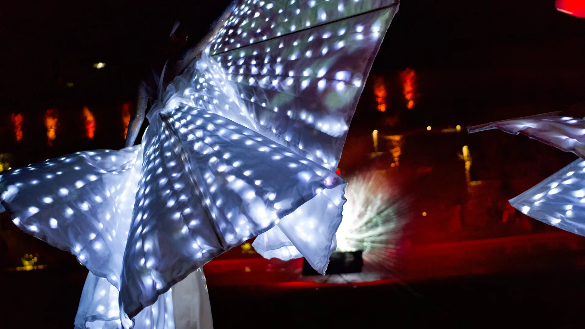 farfalle_luminose_spettacolo_caserta