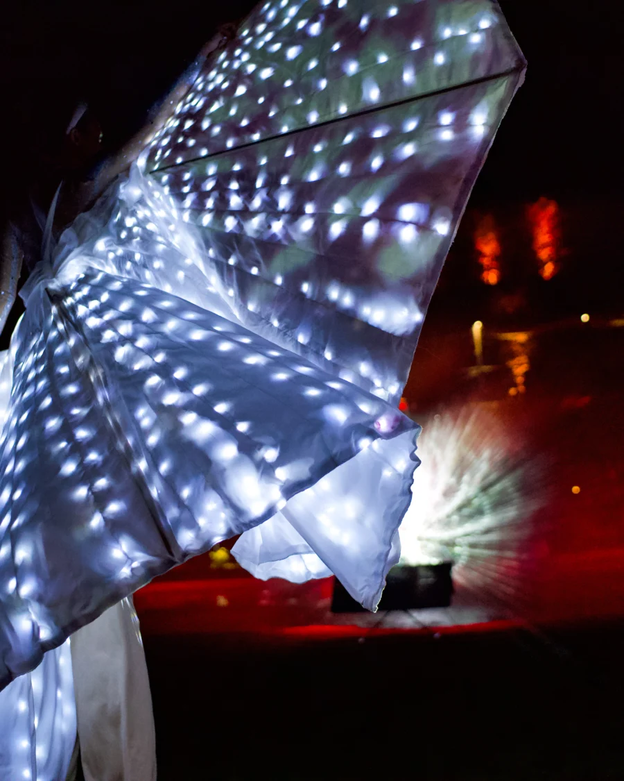 Glowing Butterflies for Weddings in Caserta