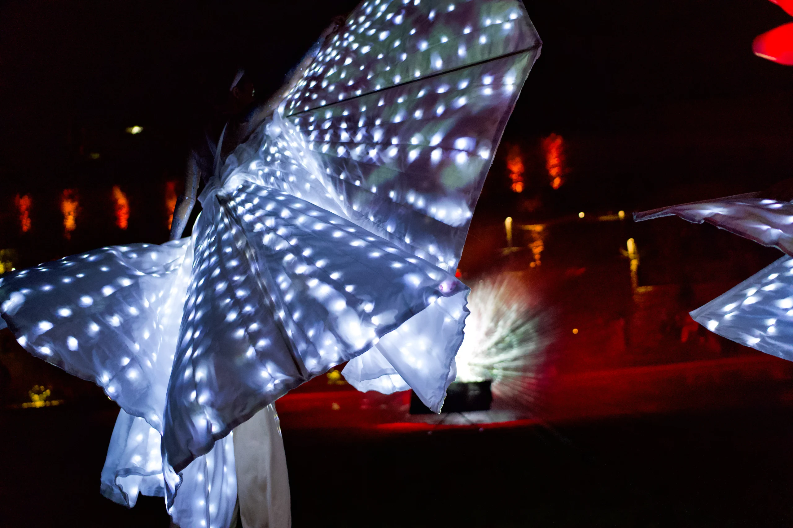 farfalle_luminose_matrimoni_eventi_spettacoli_22