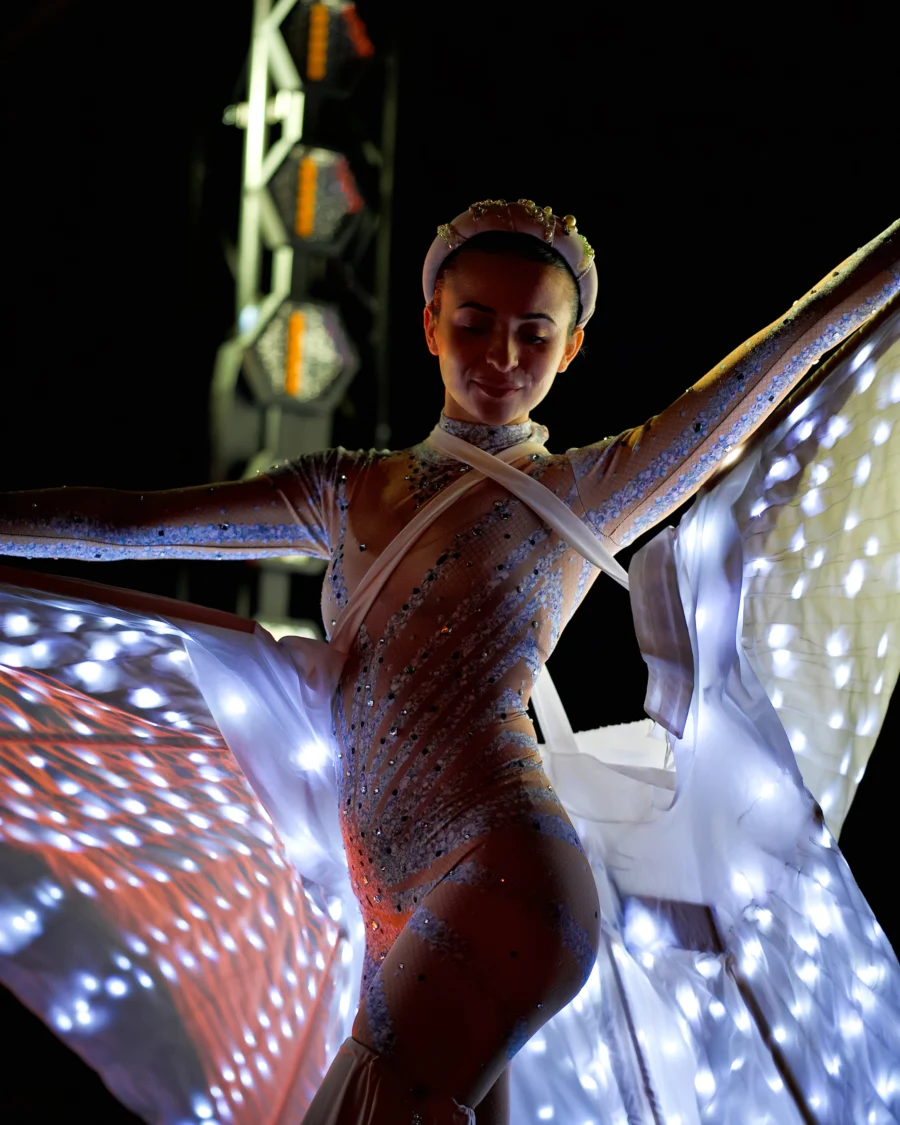Glowing Butterflies for Weddings in Avellino