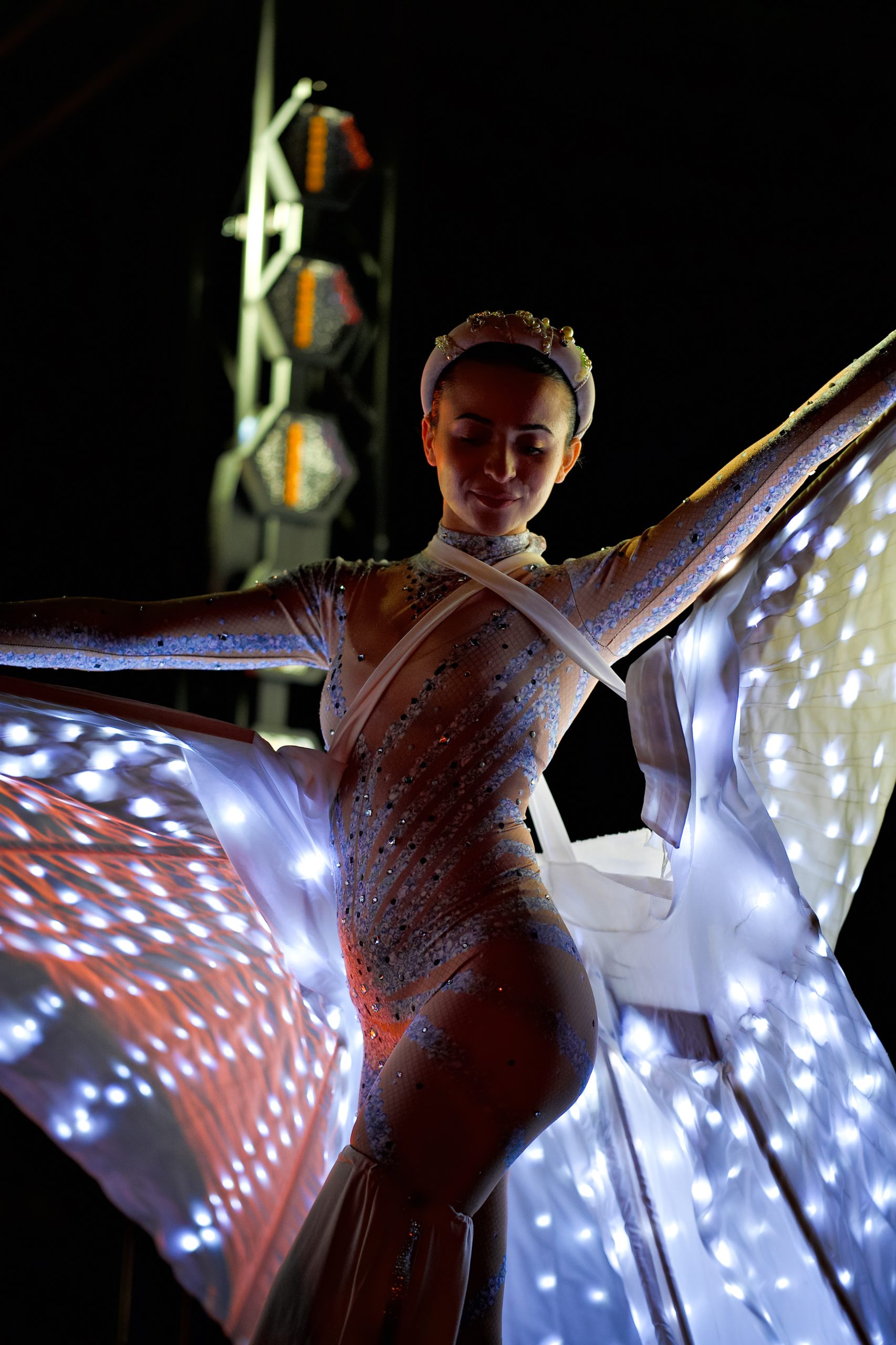 trampoliera_farfalle_luminose_22